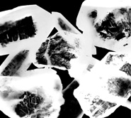 phall_fatale_charcoal_from_fire